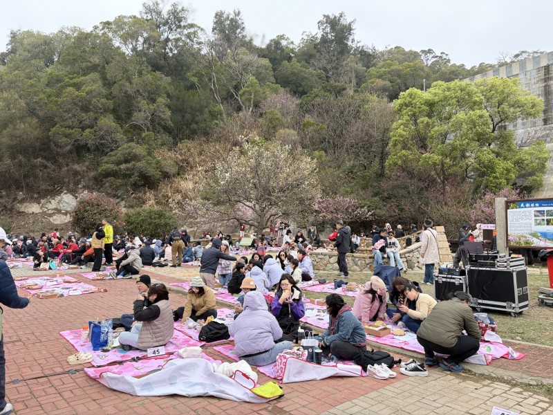 春櫻盛綻山海間！2026 馬祖櫻花健走浪漫落幕