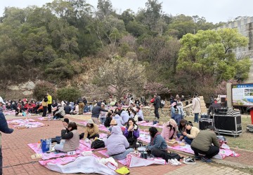 春櫻盛綻山海間！2026 馬祖櫻花健走浪漫落幕
