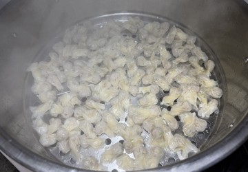 山海交織的掌心溫度：揭開馬祖手工魚餃「薄如蟬翼」的美味祕密